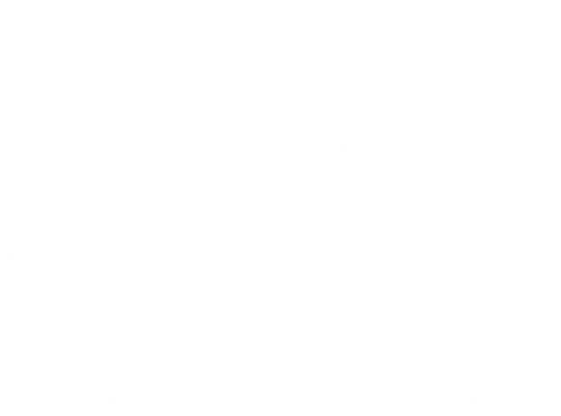 Thailux Terminal